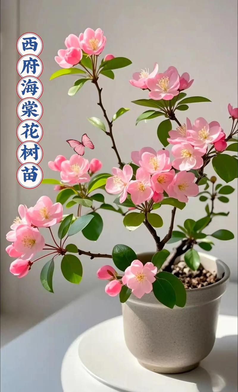 栽培什么花树品种赚钱-图2 栽培什么花树品种赚钱-图2