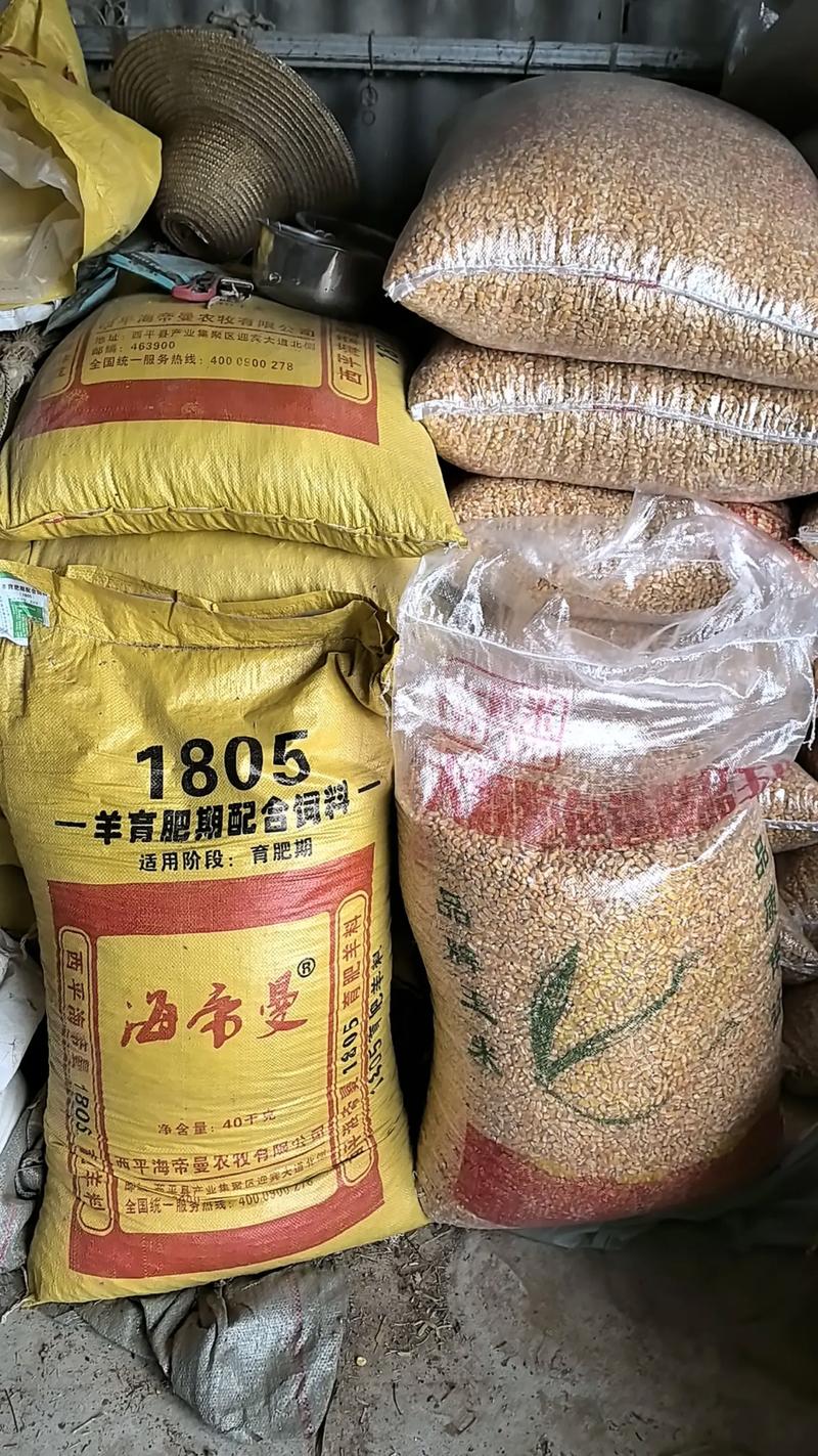 西昌牛羊饲料饲草价格近期有何变化？-图1