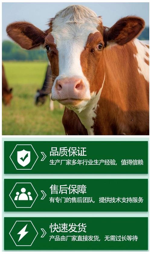 西门塔尔牛的品种介绍-图3 西门塔尔牛的品种介绍-图3