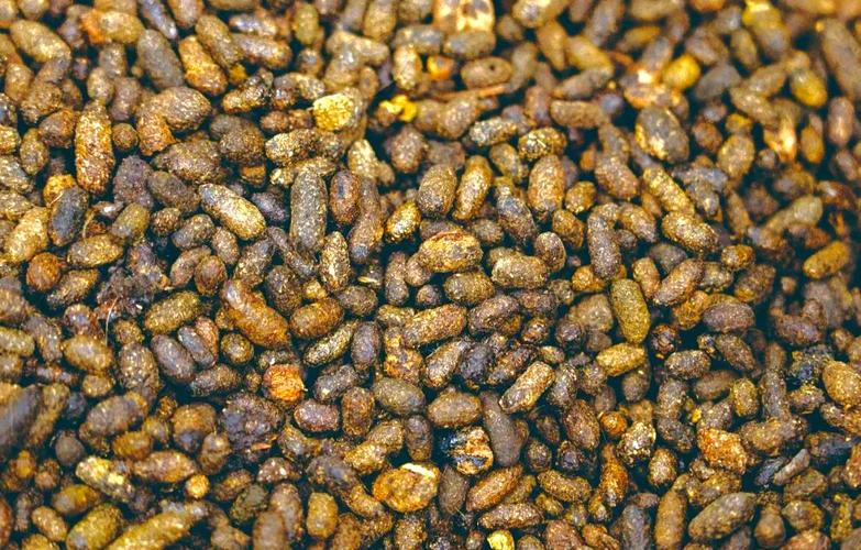 动物粪便自然发酵技术如何高效利用?-图3 动物粪便自然发酵技术如何高效利用?-图3