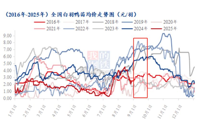 2025年蛋鸭价格会跌多少？养殖户该如何应对？-图1