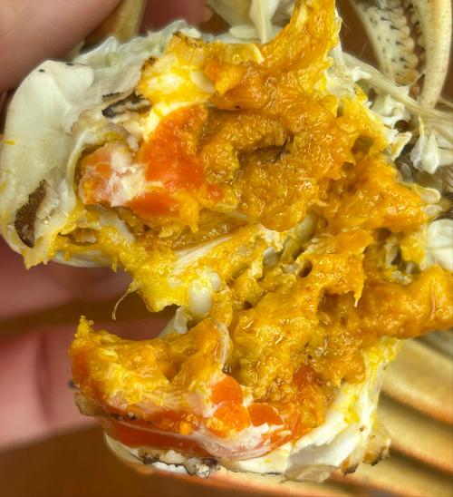 天津今日海蟹价格多少钱一斤？-图2