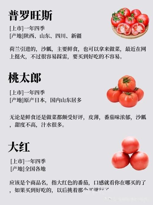 西红柿品种怎么选才高产？-图2