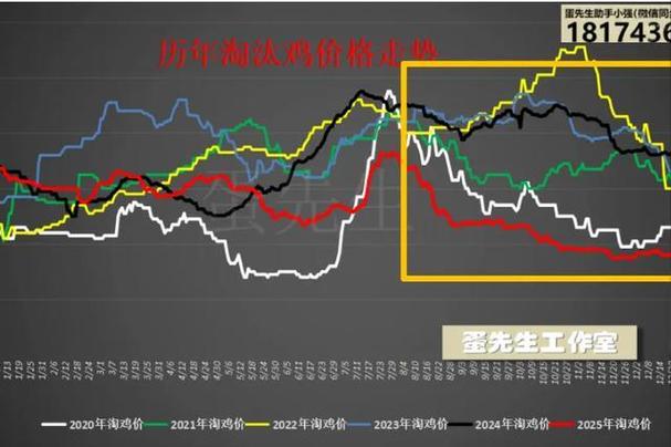 2025苗鸡价格会涨还是跌?-图2 2025苗鸡价格会涨还是跌?-图2