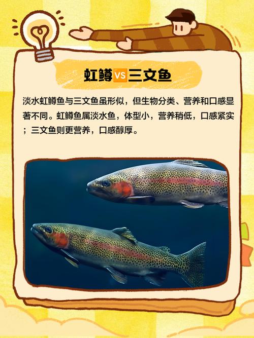 淡水虹鳟养殖技术视频怎么学?-图2 淡水虹鳟养殖技术视频怎么学?-图2