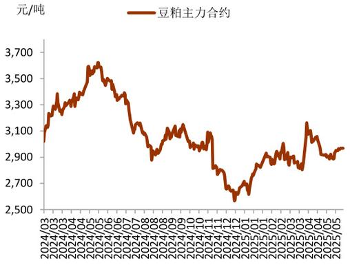 云南豆粕价格近期走势如何？-图2