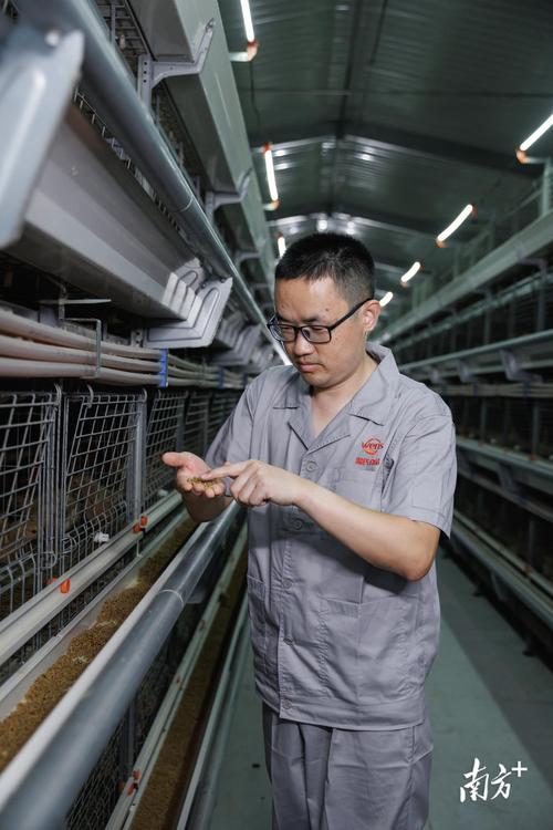 HTTP养殖技术员是什么？职责有哪些？-图1