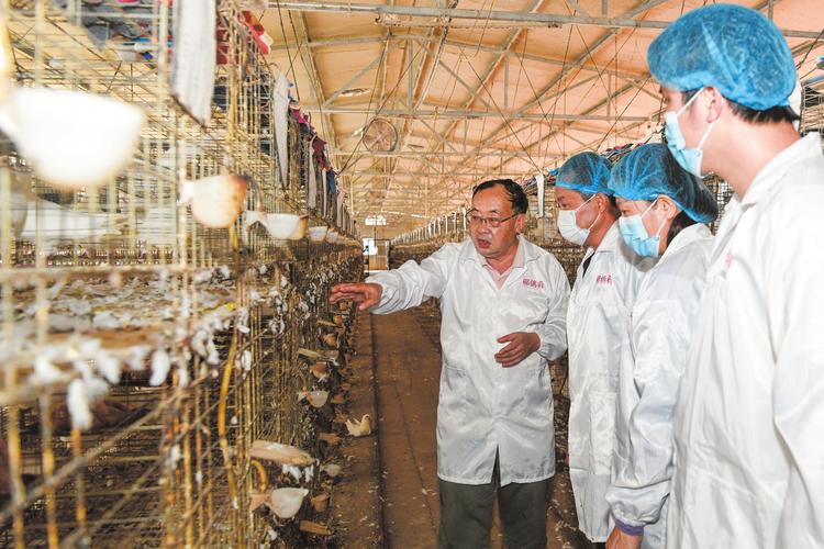 HTTP养殖技术员是什么？职责有哪些？-图2