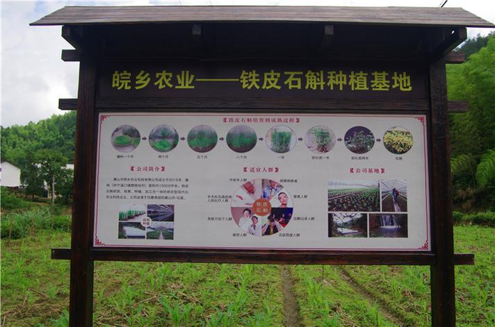 农业种植技术网址大全有哪些实用资源？-图1