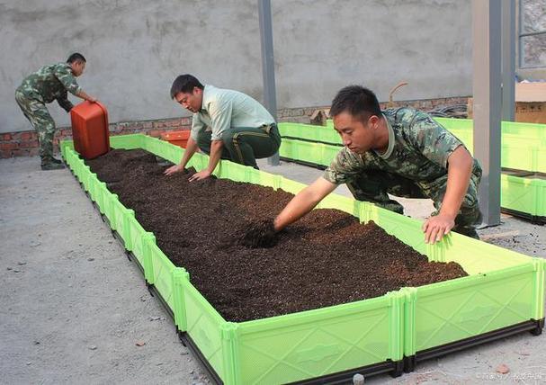 蚯蚓室内高效养殖技术怎么掌握？-图1