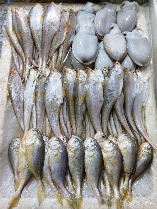 广东水产养殖品种有哪些特色？-图1