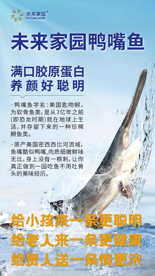 2025年鸭嘴鱼价格-图1