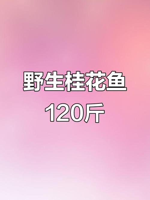 佛山桂花鲈鱼今日价格多少?-图1 佛山桂花鲈鱼今日价格多少?-图1