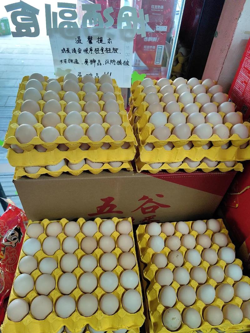 阜阳鸡蛋今日价格多少钱一斤？-图1