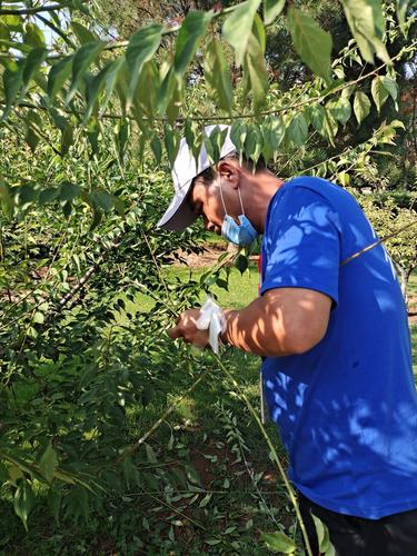 嫁接技术创业,如何从案例走向成功?-图1 嫁接技术创业,如何从案例走向成功?-图1