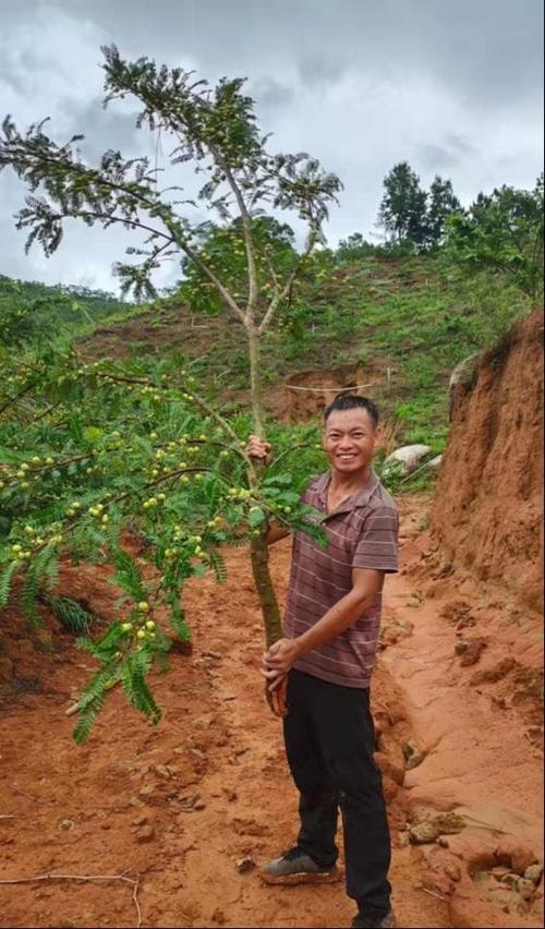 嫁接技术创业,如何从案例走向成功?-图3 嫁接技术创业,如何从案例走向成功?-图3