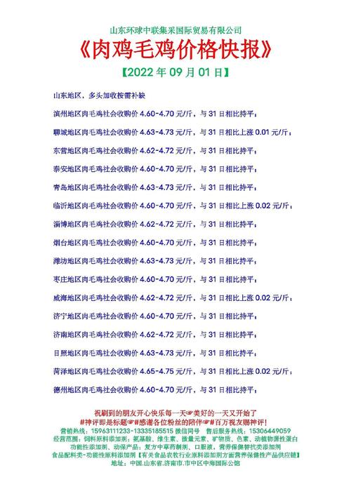 安阳今日肉鸡价格多少钱一斤?-图1 安阳今日肉鸡价格多少钱一斤?-图1