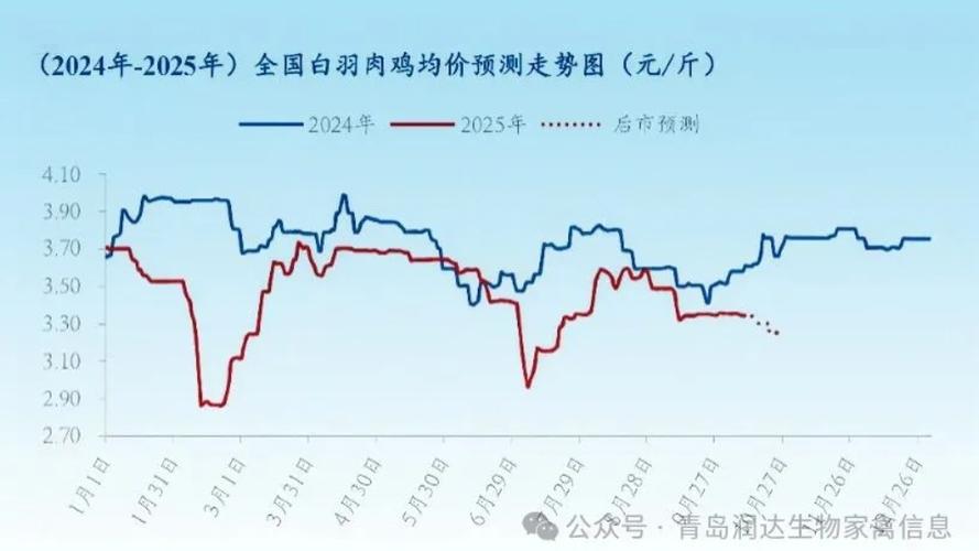 安阳今日肉鸡价格多少钱一斤?-图3 安阳今日肉鸡价格多少钱一斤?-图3