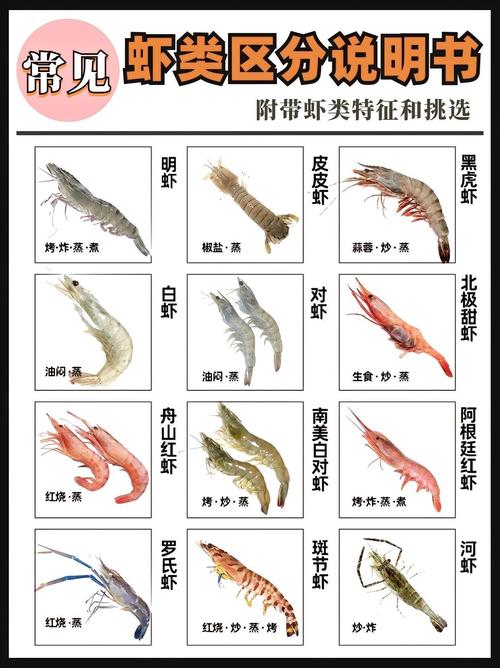 哪种淡水虾个头最大？-图1