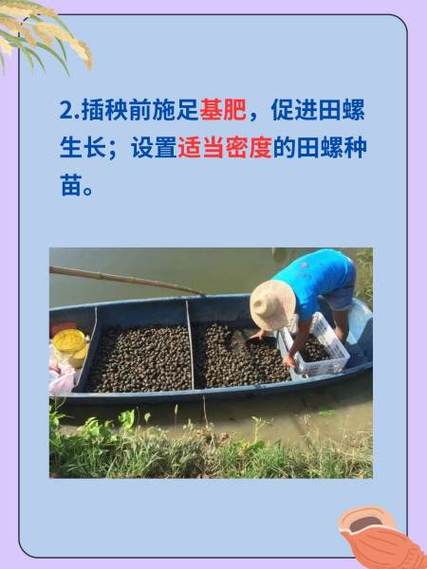 田螺养鱼草鱼技术视频-图1