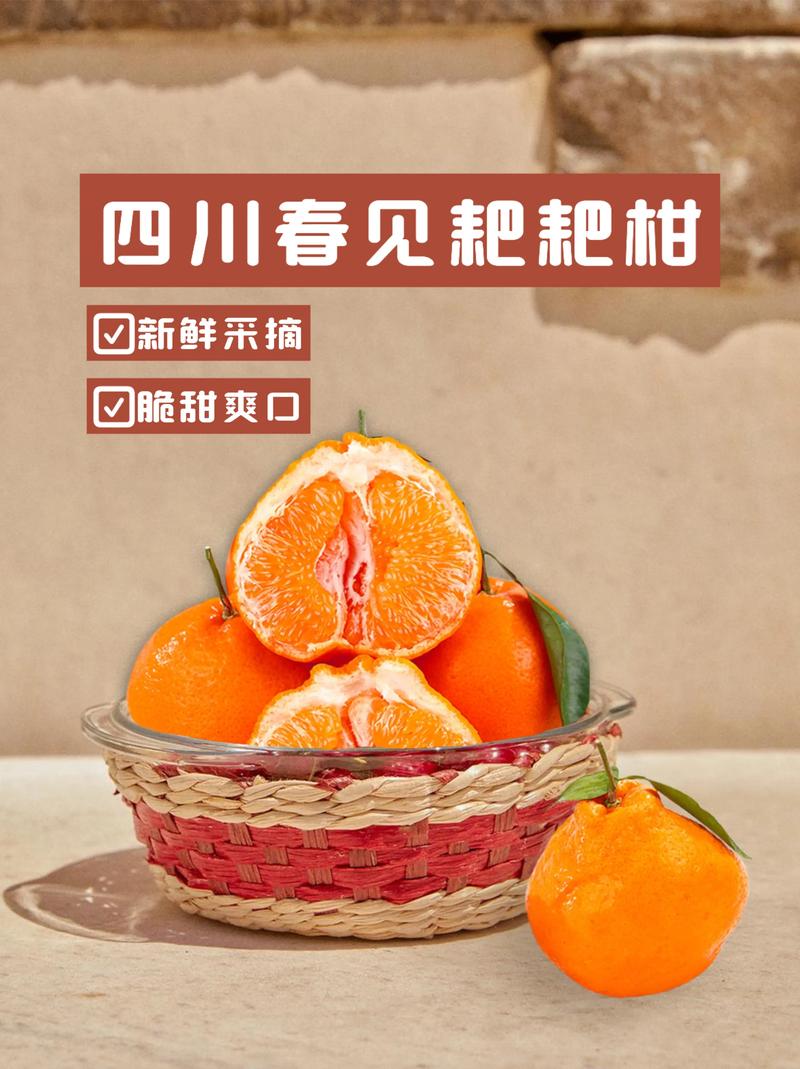 四川柑橘新品种有哪些？-图1