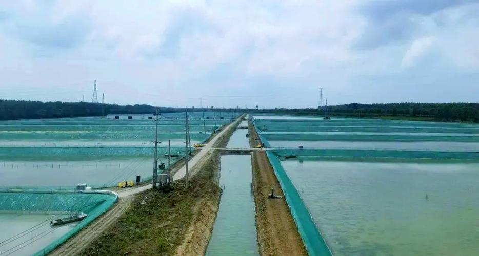 螃蟹池塘养殖技术视频，如何高效养殖？-图2