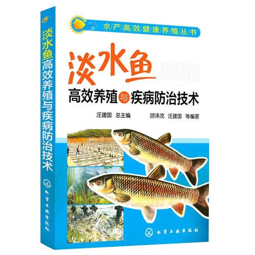 鲈鱼养殖技术有哪些关键要点？-图1