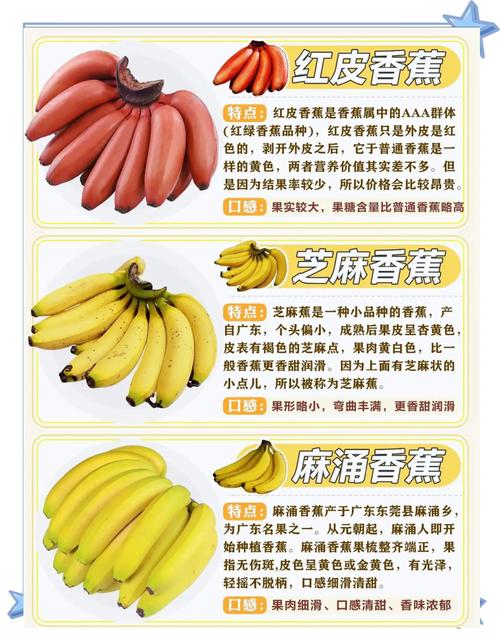 市面上香蕉是什么品种？-图1