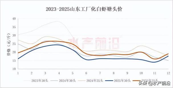 2025常州河虾价格-图1 2025常州河虾价格-图1