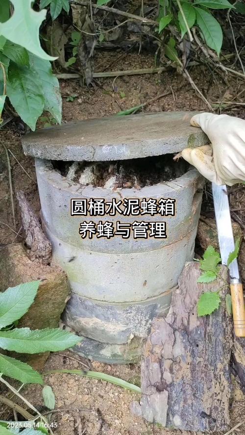 蜜蜂圆桶养殖技术视频,怎么操作才高效?-图1 蜜蜂圆桶养殖技术视频,怎么操作才高效?-图1