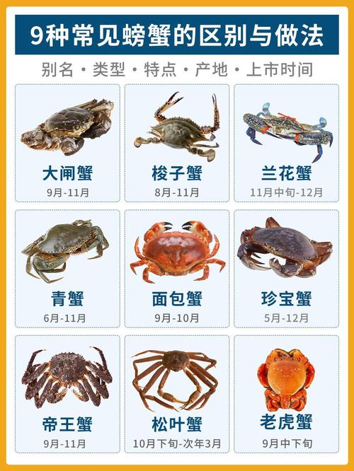 吉林螃蟹养殖技术大全-图2 吉林螃蟹养殖技术大全-图2