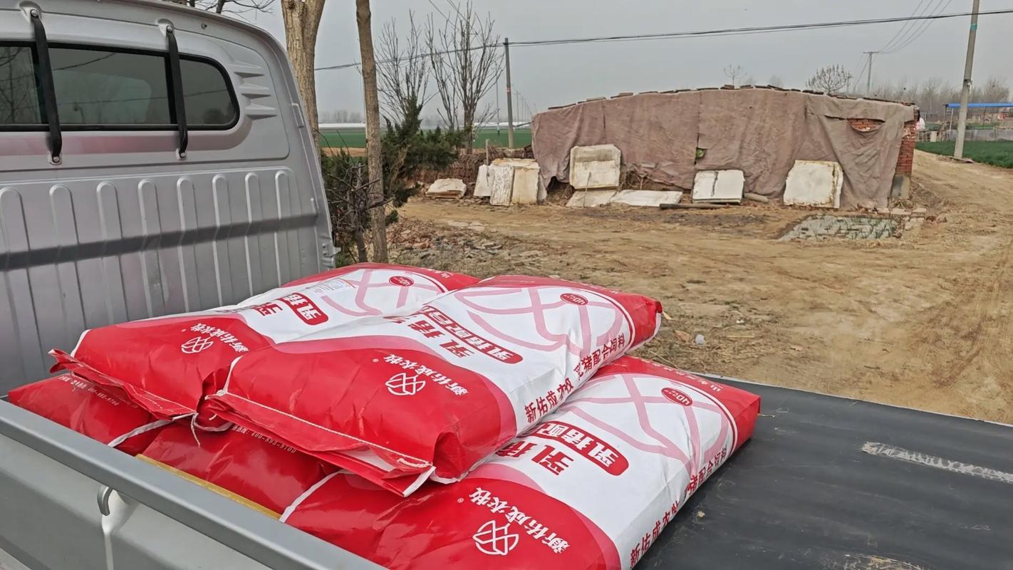 猪的青饲料有哪些品种-图1 猪的青饲料有哪些品种-图1