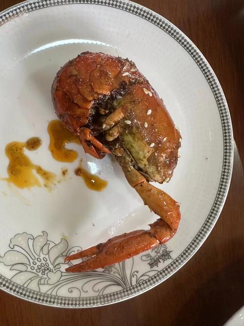 中国养殖龙虾技术视频如何学?-图2 中国养殖龙虾技术视频如何学?-图2