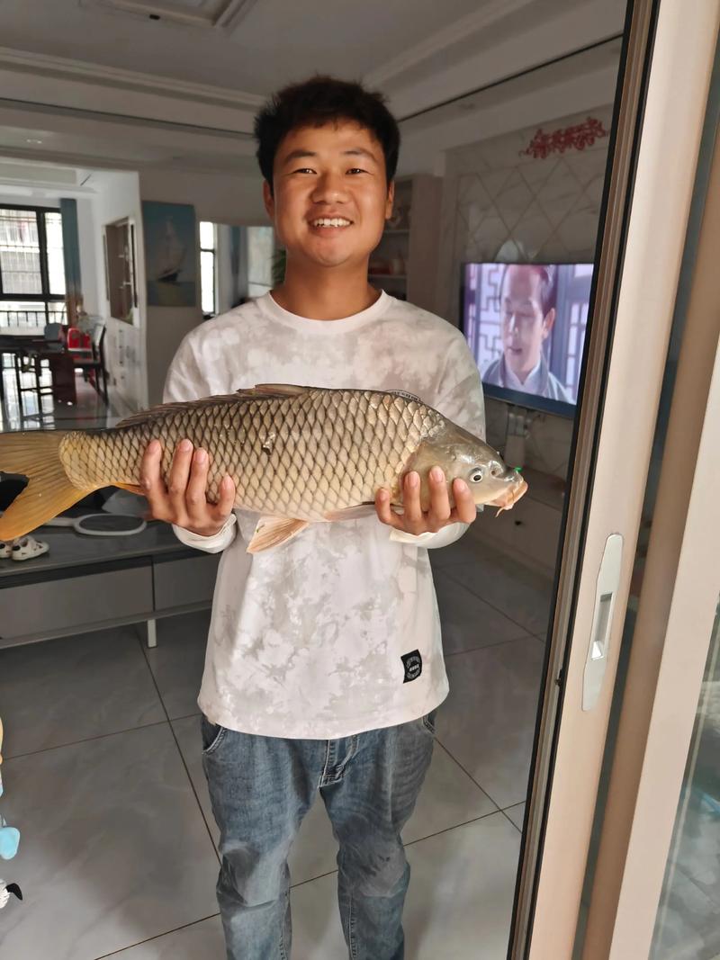 宿迁2025鲤鱼价格会涨还是跌？-图2