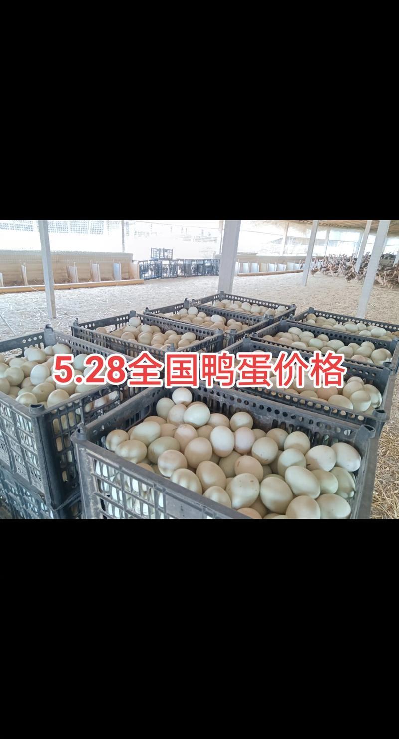 2025年鸭蛋价格会涨还是跌？-图2