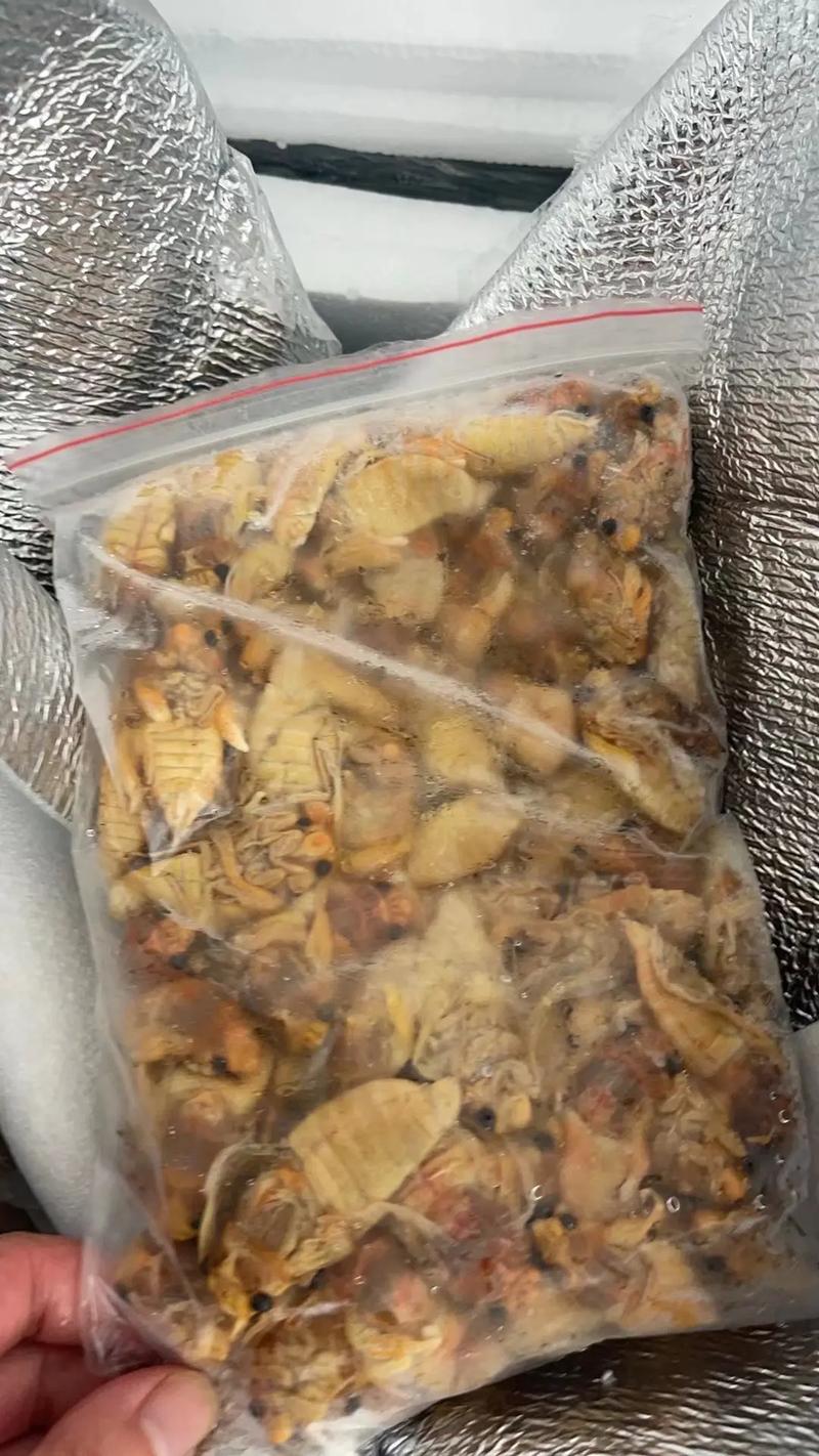 2025永康知了价格-图2