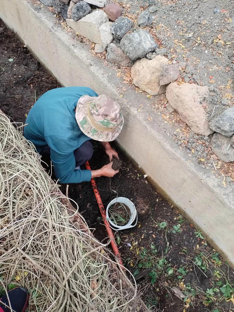 冬季野外捕捉青虾技术-图2 冬季野外捕捉青虾技术-图2