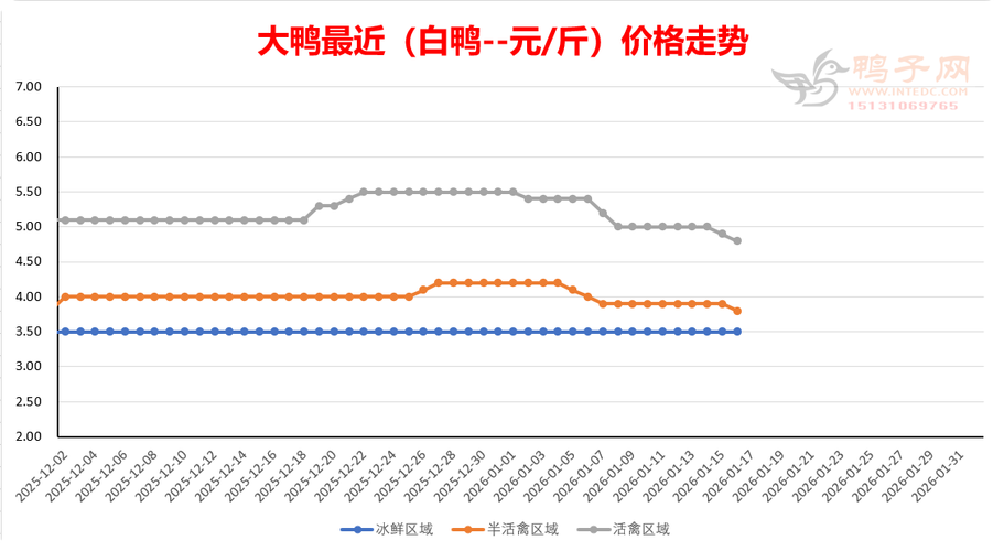 2025鸭苗价格会涨还是跌?-图1 2025鸭苗价格会涨还是跌?-图1