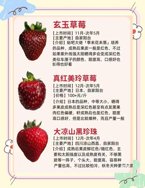 草莓品种图片集收录了多少品种?-图1 草莓品种图片集收录了多少品种?-图1