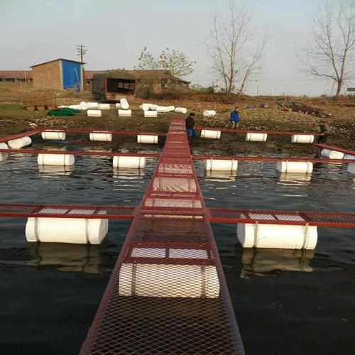 长江螃蟹网箱养殖技术有哪些要点？-图1