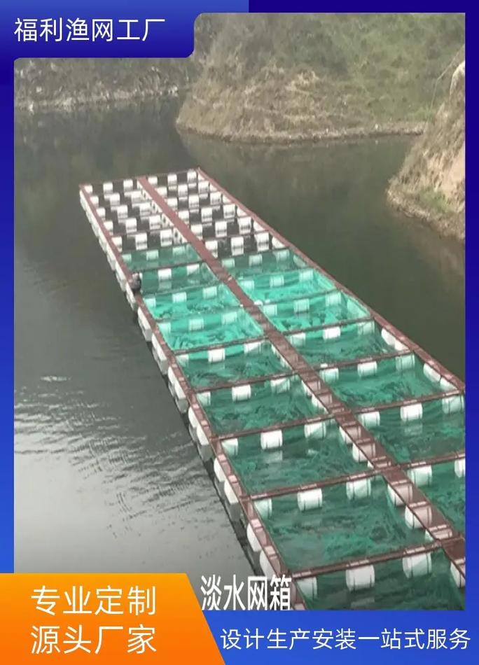 长江螃蟹网箱养殖技术有哪些要点？-图3