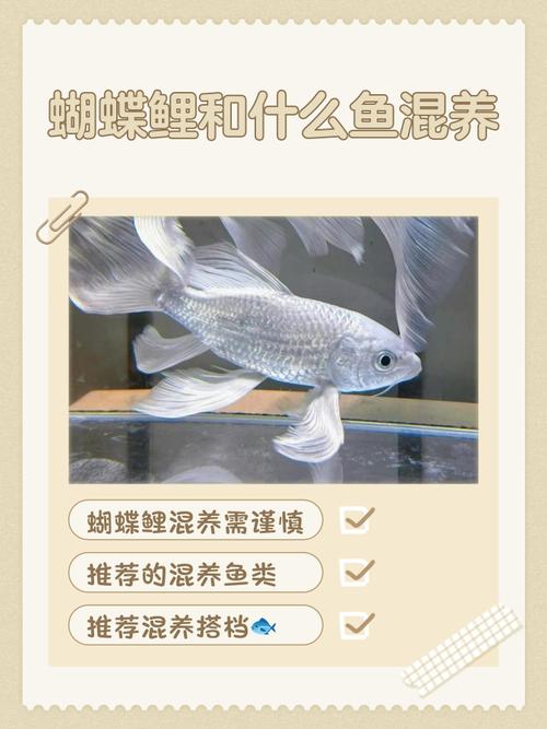 鲤鱼养殖核心技术有哪些？-图1