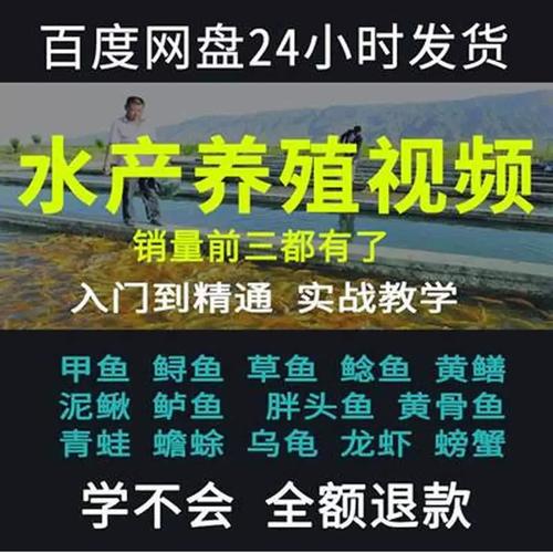鲤鱼养殖核心技术有哪些？-图3