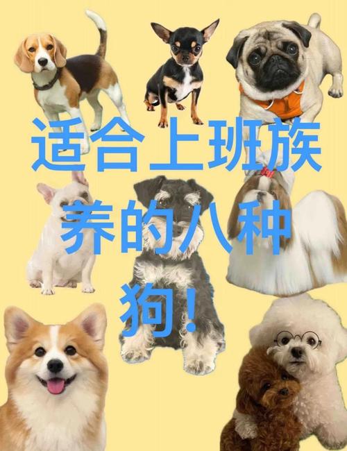 哪些狗品种好卖又赚钱？-图2