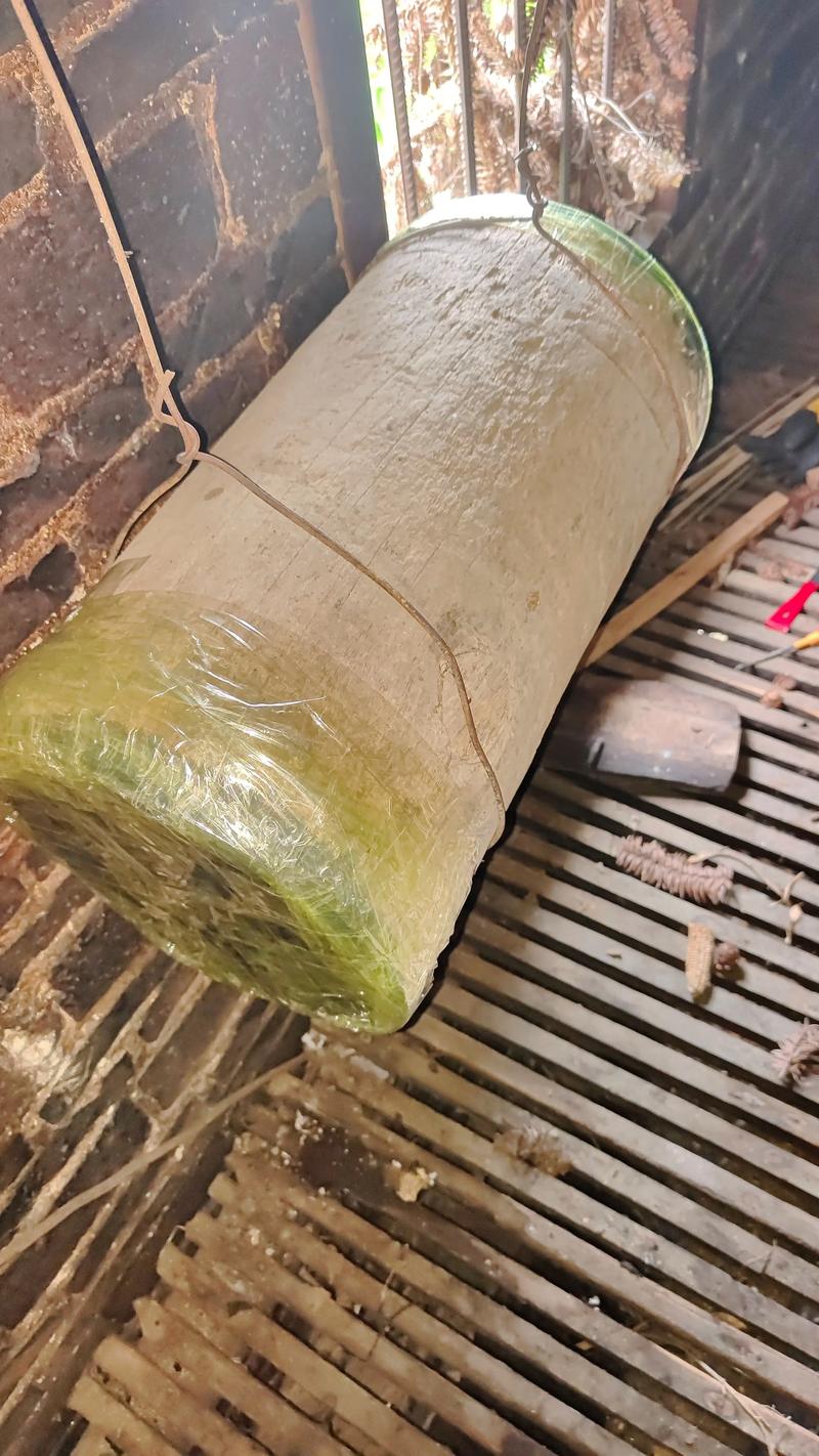 中华蜜蜂养殖技术要点有哪些?-图2 中华蜜蜂养殖技术要点有哪些?-图2