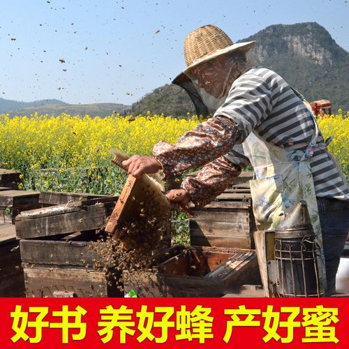 中华蜜蜂养殖技术要点有哪些?-图3 中华蜜蜂养殖技术要点有哪些?-图3