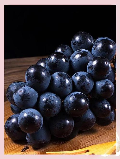黑色葡萄有哪些常见品种?-图1 黑色葡萄有哪些常见品种?-图1