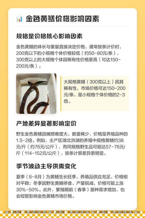 2025盐城黄鳝价格会涨还是跌?-图3 2025盐城黄鳝价格会涨还是跌?-图3