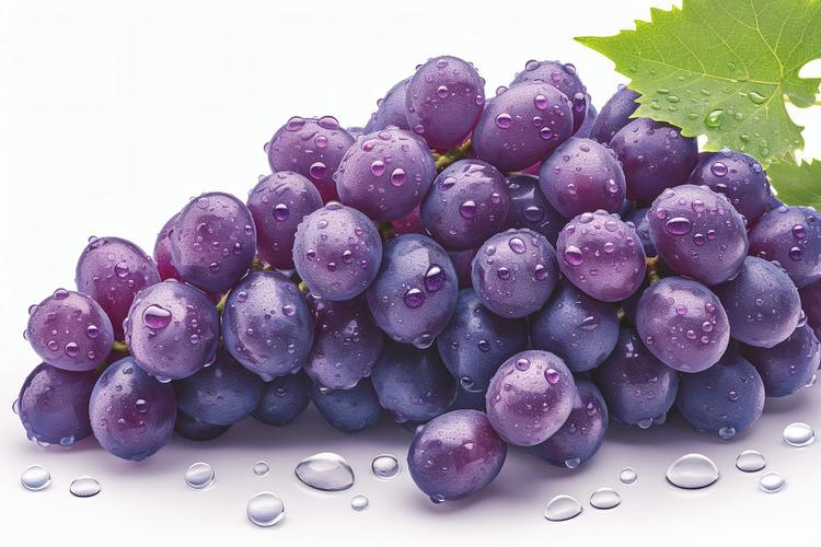 紫色葡萄有核的是什么品种?-图2 紫色葡萄有核的是什么品种?-图2