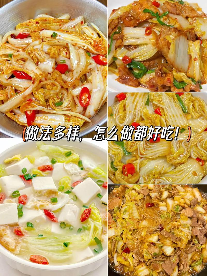 夏季白菜种什么品种好?-图2 夏季白菜种什么品种好?-图2